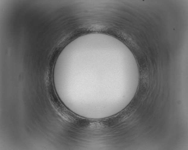X0000073480591200608281551