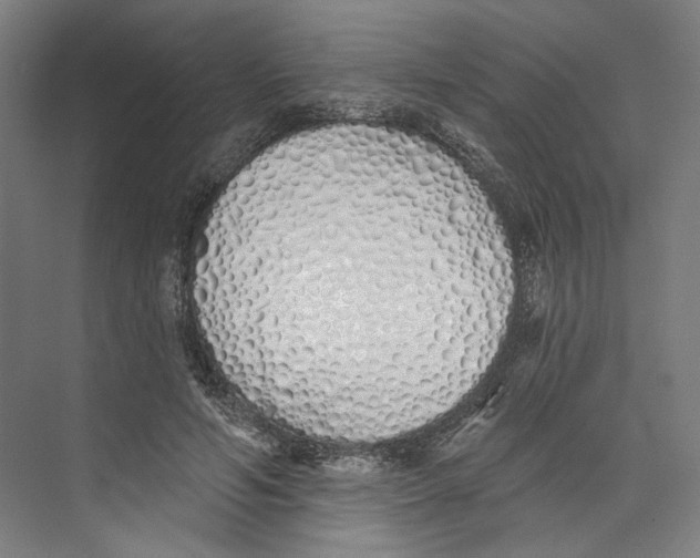 X0000073480594200608281551
