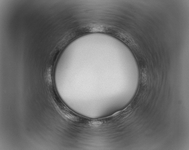 X0000073480598200608281551