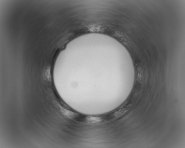 X0000073480610200608281551