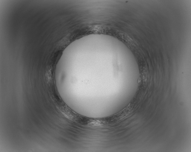 X0000073480611200608281551