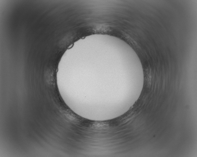X0000073480619200608281551