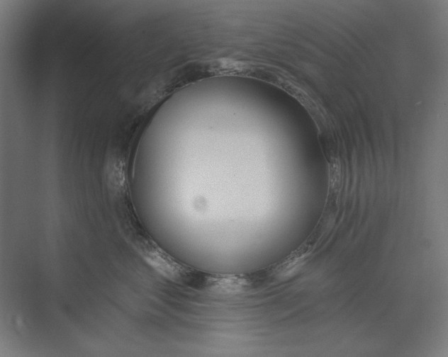 X0000073480621200608281551
