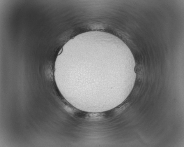 X0000073480622200608281551