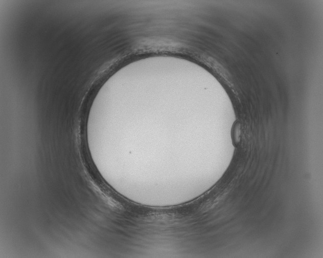 X0000073480629200608281550