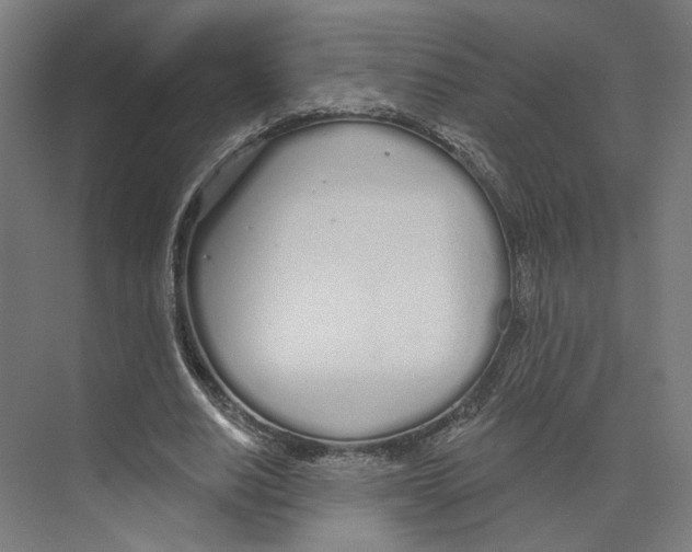 X0000073480630200608281550