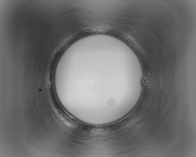 X0000073480634200608281550