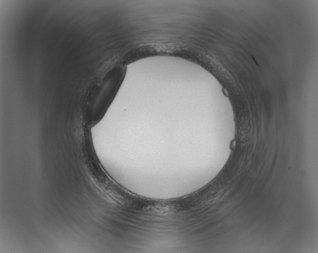 X0000073480639200608281550