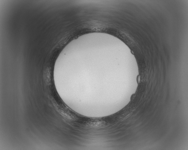 X0000073480646200608281550