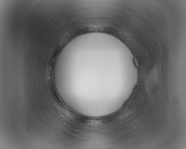 X0000073480649200608281551