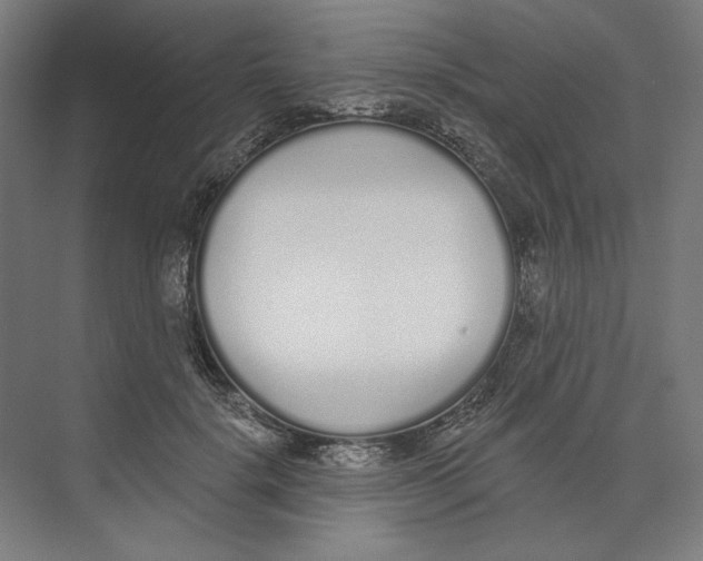 X0000073480652200608281551