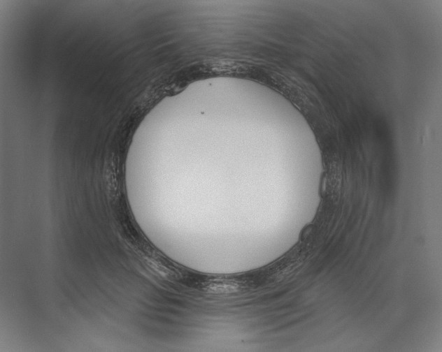 X0000073480653200608281551