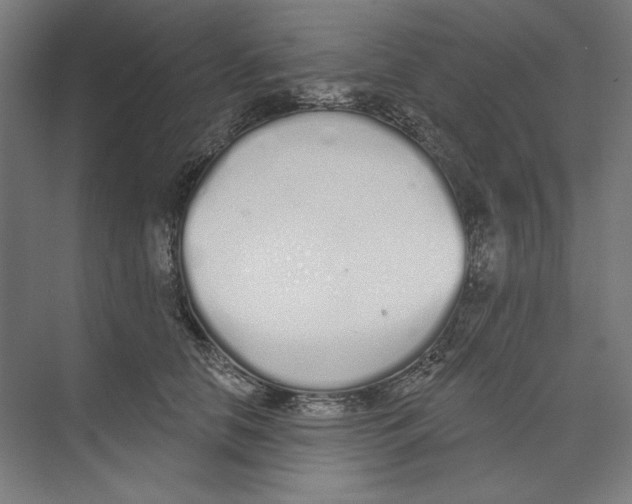 X0000073480658200608281551
