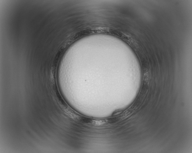 X0000073480662200608281551