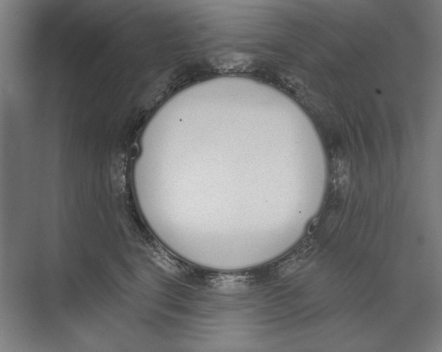 X0000073480664200608281551