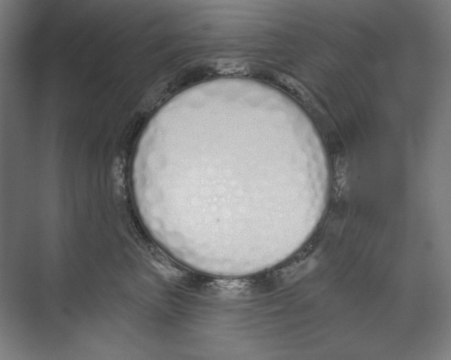 X0000073480667200608281551