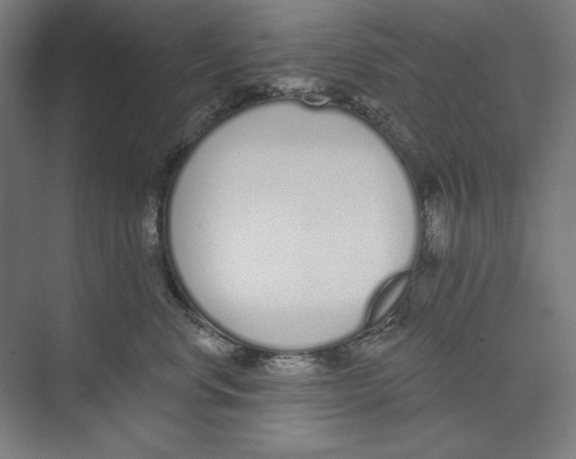 X0000073480668200608281551
