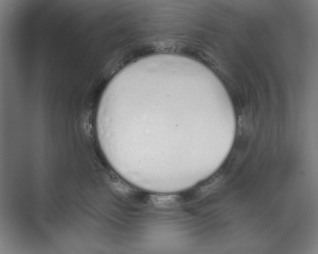 X0000073480671200608281551