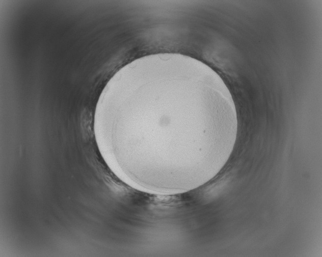 X0000073480672200608281551