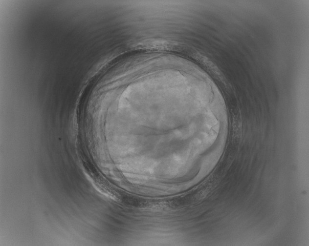 X0000073480674200608281550