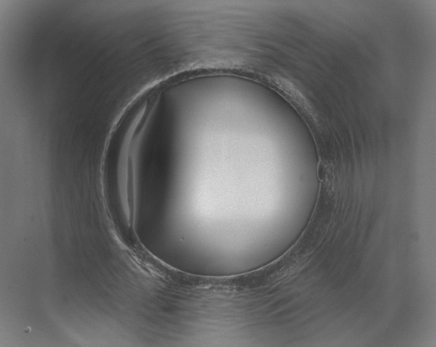X0000073480676200608281550