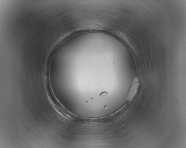 X0000073480677200608281550