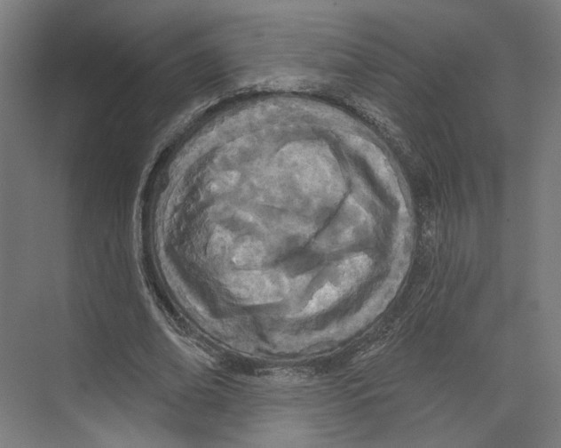 X0000073480678200608281550