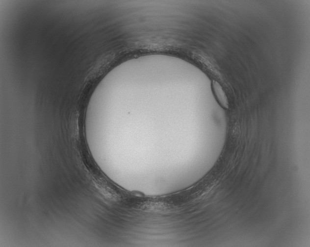 X0000073480685200608281550