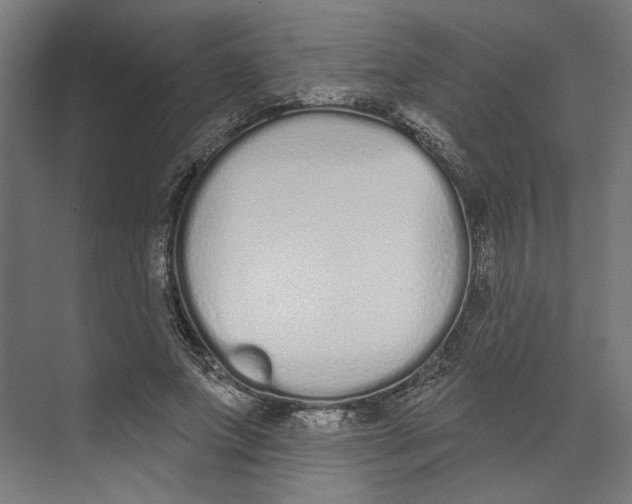 X0000073480687200608281550