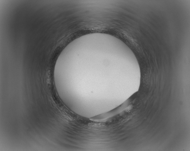 X0000073480689200608281550