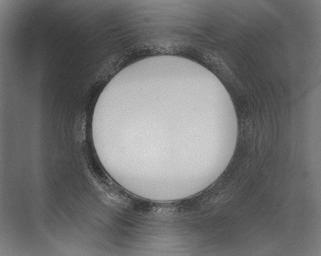 X0000073480694200608281550