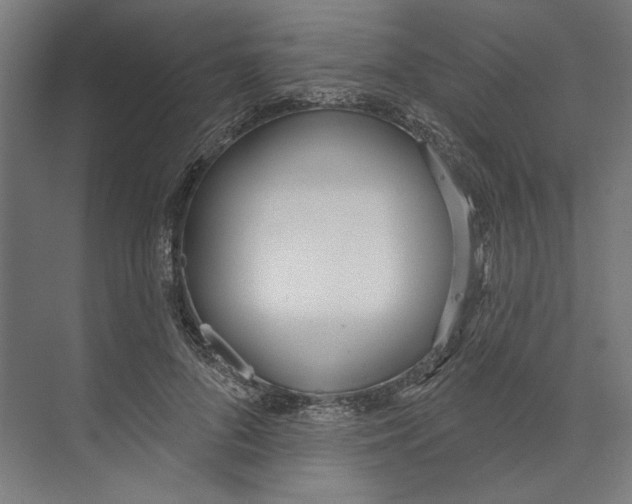 X0000073480696200608281550
