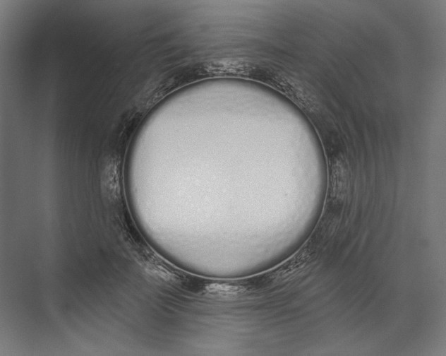 X0000073480699200608281550