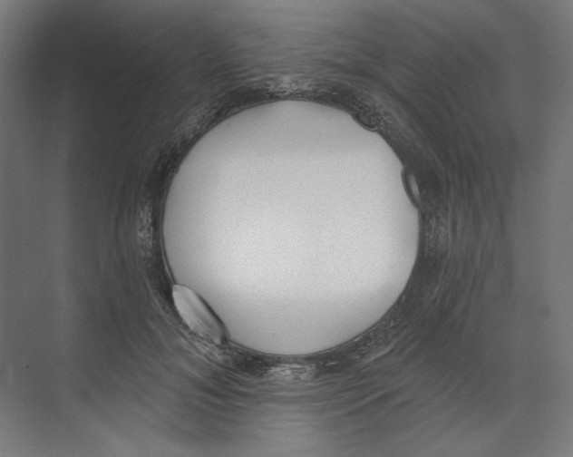 X0000073480700200608281550
