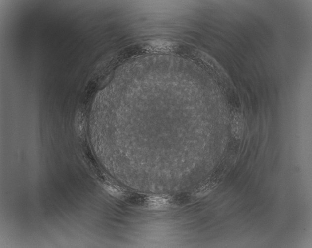 X0000073480701200608281550