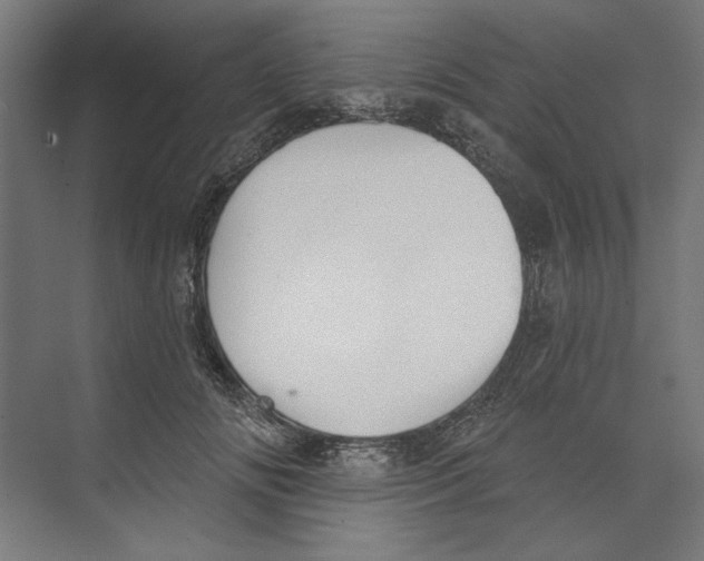 X0000073480702200608281550