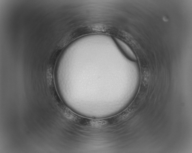 X0000073480707200608281550