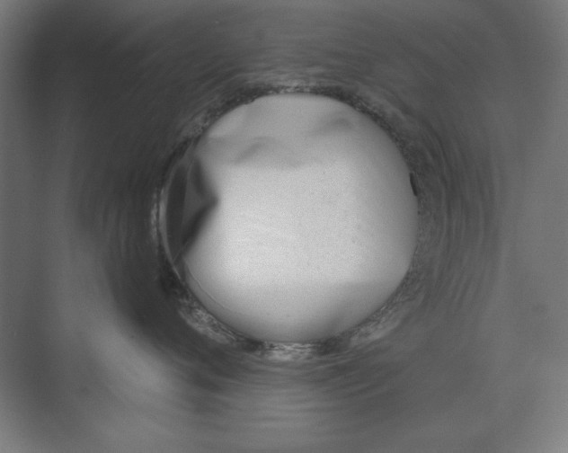 X0000073480720200608281549
