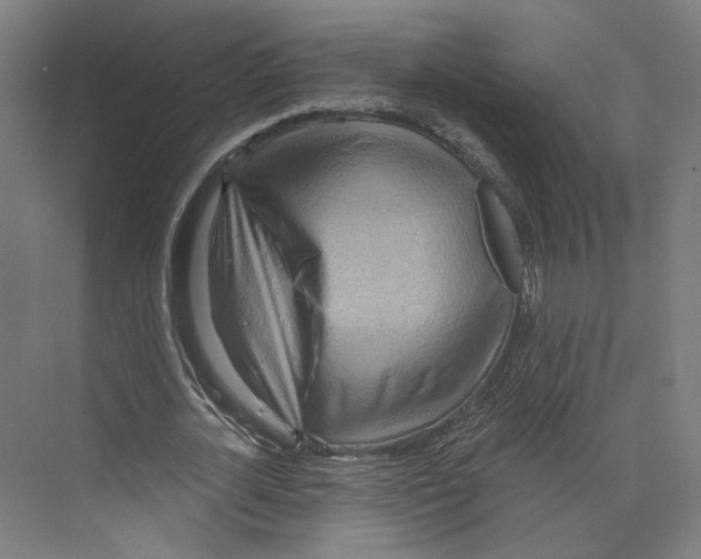 X0000073480724200608281549