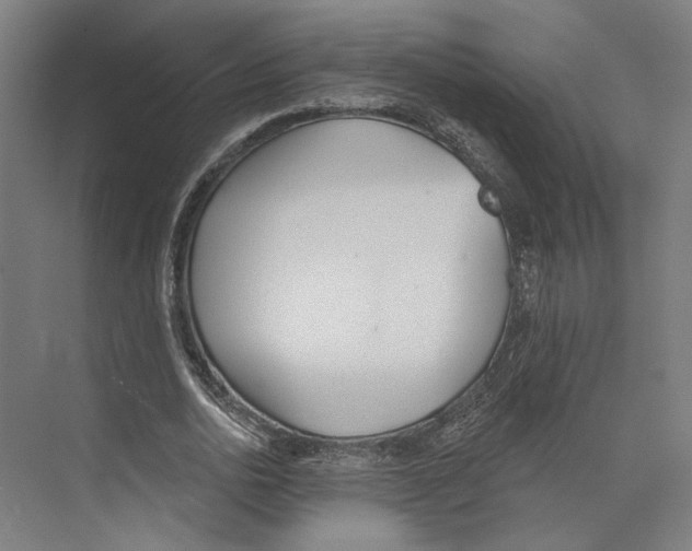 X0000073480726200608281549