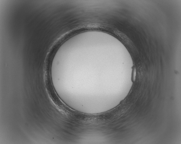X0000073480728200608281549