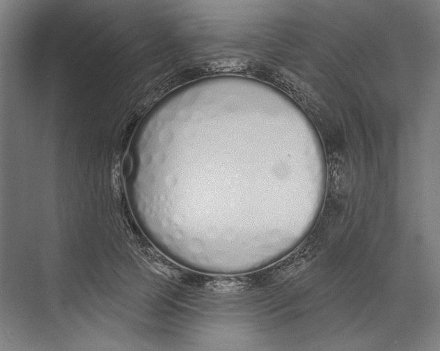 X0000073480745200608281549