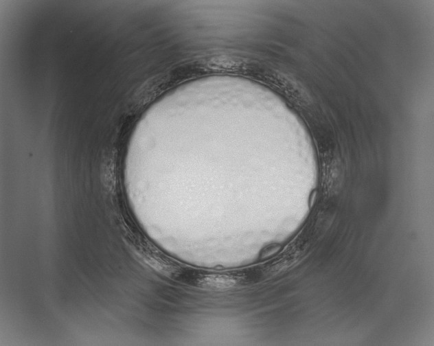 X0000073480749200608281549