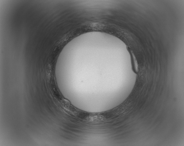 X0000073480752200608281549