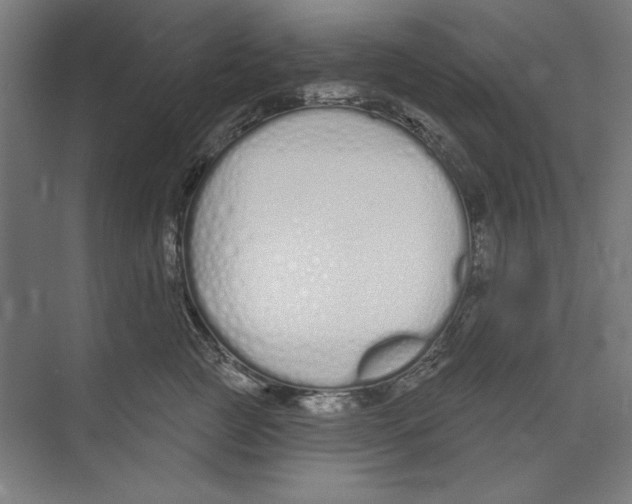 X0000073480761200608281549