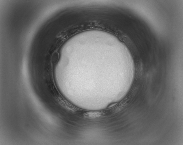 X0000073480765200608281549