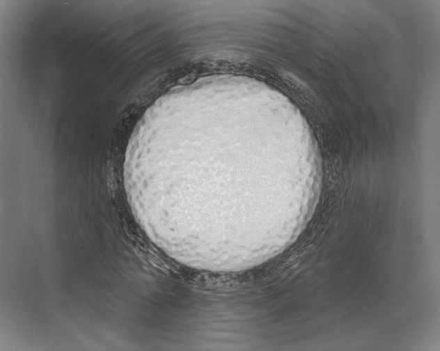 X0000073480774200608281548