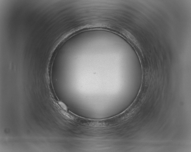 X0000073480789200608281548