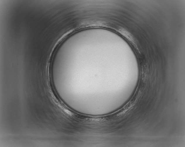 X0000073480790200608281548