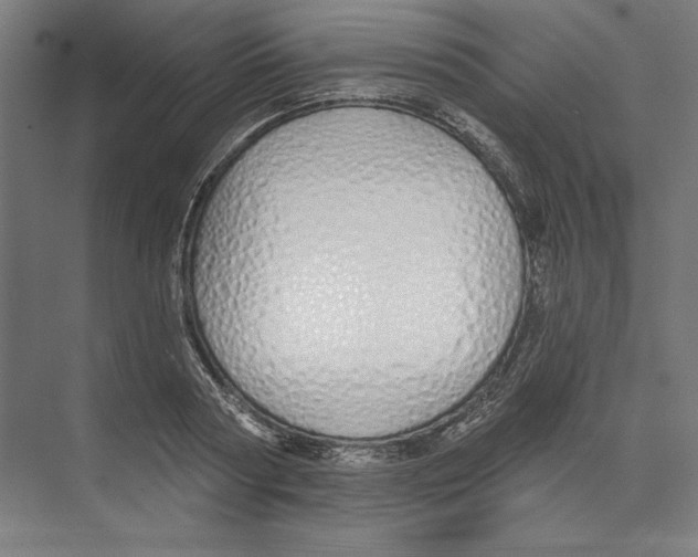 X0000073480794200608281548